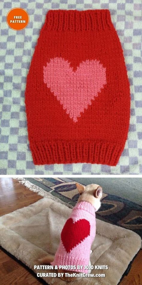 Dog Beanie Pattern, Dog Jumper Pattern, Dachshund Dog Sweaters, Knitting Patterns For Dogs, Dog Jacket Patterns, Knitted Dog Sweater Pattern, Knitting Patterns Free Dog, Crochet Dog Clothes, Dog Coat Pattern