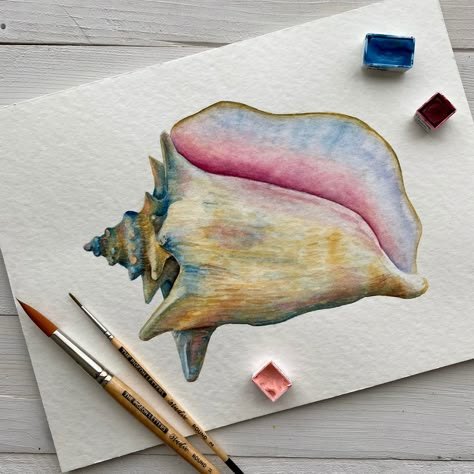 Katherine Urban (@katherine.urban.art) on Instagram Conch Shell Watercolor, Shell Watercolor Painting, Conch Shell Drawing, Conch Shell Painting, Watercolor Seashells, Yellena James, Have A Great Wednesday, Shell Drawing, Paintings Ideas