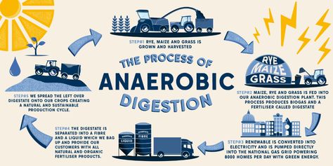 What is Anaerobic Digestion? | Blue Diamond Food Waste Recycling, Anaerobic Digestion, Forest School, Organic Matter, Fruit And Veg, Earth Friendly, Food Waste, Renewable Energy, Blue Diamond