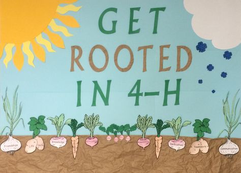 Get your kids "Rooted in 4-H' this year! Talk to your school or local Extension Service to find out more about 4-H.  ~University of Arkansas: Division of Agriculture Marion County Extension Service. Spring/Summer Bulletin Board 4h Bulletin Board Ideas, 4h Educational Display Ideas, 4 H Banner Ideas, 4-h Bulletin Board Ideas, 4 H Poster Ideas Projects, Ffa Themes For The Year, Ag Bulletin Boards, 4-h Booth Ideas, Agriculture Bulletin Board Ideas