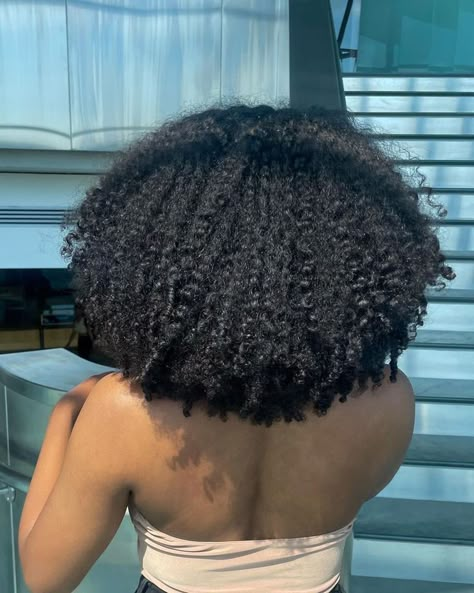 Healthy 4b Natural Hair, Healthy Hair Aesthetic Black Women, Healthy Curly Hair Black Women, Healthy 4b Hair, Long 4b Natural Hair, Long Type 4 Hair, 4b Curly Hair, Hair Growth Black Women, Get A Life Chloe Brown