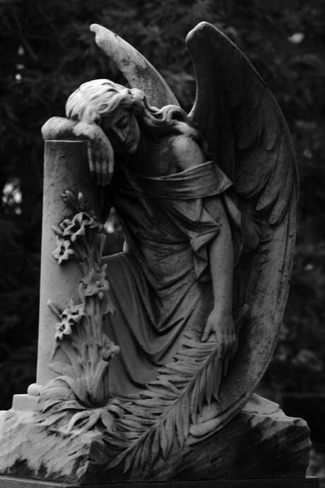 cemetery angel Arte Pin Up, Cemetery Angels, Cemetery Statues, Istoria Artei, Weeping Angel, Greek Statues, Angel Sculpture, Cemetery Art, Tapeta Galaxie