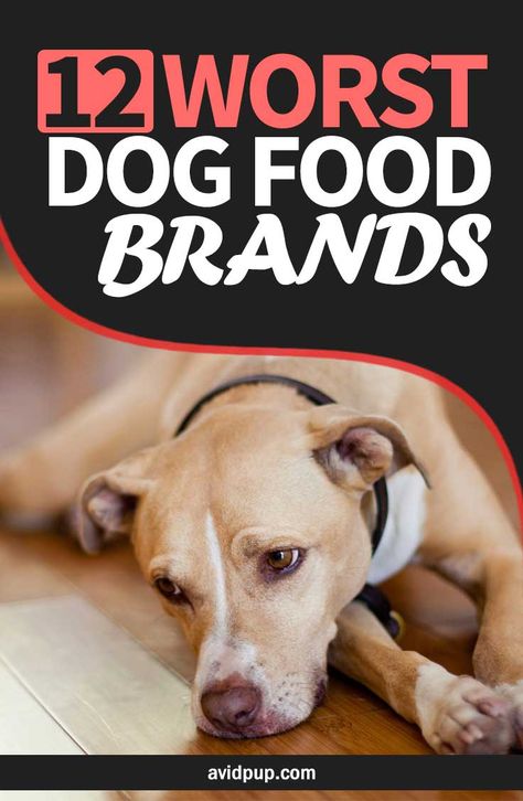 Bad Food For Dogs, Food Bad For Dogs, What Not To Feed Dogs, Healthiest Dog Food, Good Dog Food Brands, Best Dog Food For Pitbulls, Best Food For Puppies, Diet Dog Food Recipes, How To Make Healthy Dog Food