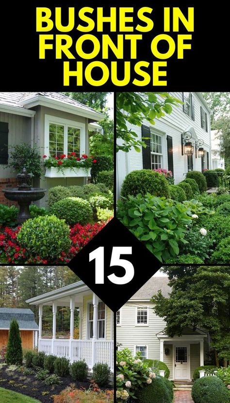 Discover the best bushes for your home's front in 2024, tailored to various architectural styles and maintenance preferences. Learn about low maintenance, farmhouse, modern, and ranch-style bushes that thrive in shade or full sun. Get expert tips on enhancing curb appeal with simple yet effective bush designs.
bushes in front of house Front House Landscaping Ideas Entrance, Front Of House Landscape Ideas Entrance, Ranch House Landscaping Front Yards, Symmetrical Landscape, Colonial Landscaping, Bushes In Front Of House, Modern Front Yard Landscaping Ideas, Landscape Ideas Front Yard Curb Appeal, Curb Appeal Landscape