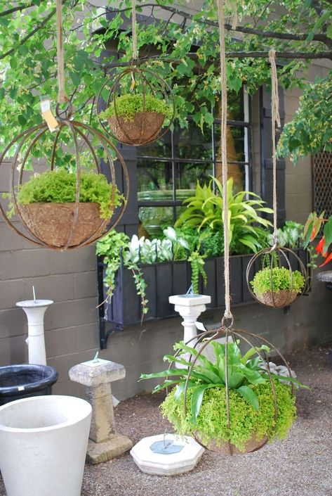 Chic Industrial Globe-Shaped Iron Hanging Planters | DIY Outdoor Hanging Planter Ideas | Plant Pot Design Ideas Pot Gantung, Diy Planters Outdoor, Diy Hanging Planter, نباتات منزلية, Hanging Succulents, Vertical Gardens, Garden Containers, Hanging Garden, Diy Planters