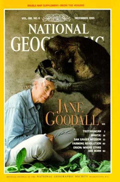 National Geographic December 1995 Jane Goodall cover / National Geographic Photography / Covers Mandrill, Jane Goodall, National Geographic Magazine, Maria Callas, Tilda Swinton, We Are The World, Primates, Inspirational People, Anthropology