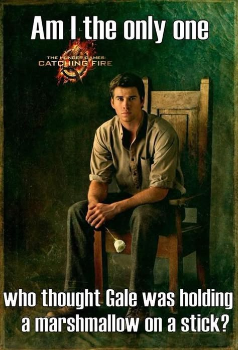 Gale Hunger Games, Gale Hawthorne, Hunger Games Memes, Jena Malone, Hunger Games Humor, Donald Sutherland, Real Or Not Real, Game Quotes, Hunger Games Series