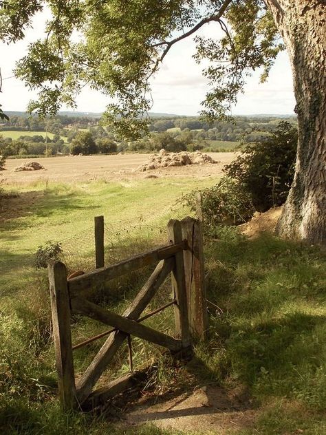 England Countryside, Kent England, Country Scenes, East Sussex, English Countryside, Garden Gates, The Grass, Nature Aesthetic, Pretty Places