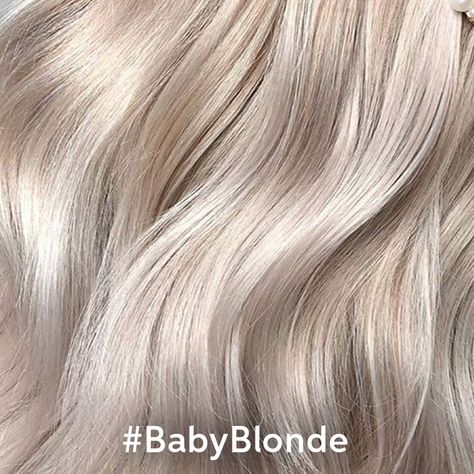 Baby Blonde Color Formulas | Wella Professionals Wella Nordic Blonde 12aa, Wella Pearl Blonde Toner, Champagne Ice Blonde Hair, Creamy Pearl Blonde Hair, Wella Blonde Hair Color Formulas, Pearl Platinum Blonde Hair, Wella Blonde Toner Formula, Creamy Blonde Hair Formula, Beige Blonde Wella