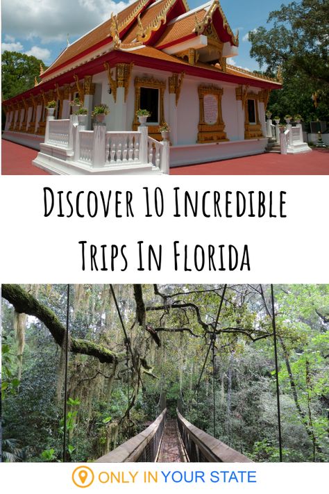 Florida Vacation Spots, Florida Travel Destinations, Florida Travel Guide, Travel Florida, Florida Adventures, Florida Destinations, Places In Florida, Florida Living, Visit Florida