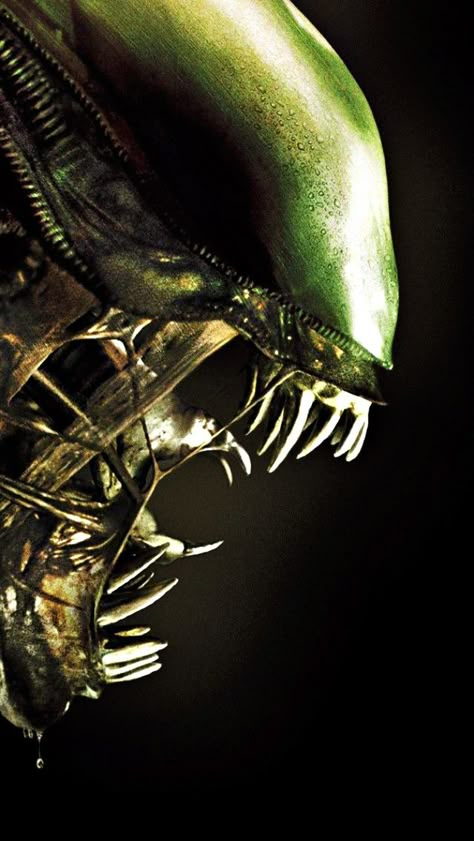 Alien Side Profile, Art Side Profile, Alien Convenant, Xenomorph Art, Alien Cosplay, Giger Alien, Predator Alien Art, Giger Art, Alien Artwork