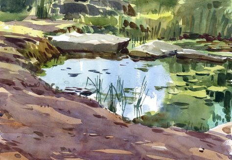 Still water Pond With Frogs Drawing, Water Landscape Drawing, Water Pond Drawing, Pond Reference Drawing, Pond Landscaping Drawing, How To Paint A Pond, Pond Sketch, Pond Paintings, Pond Illustration