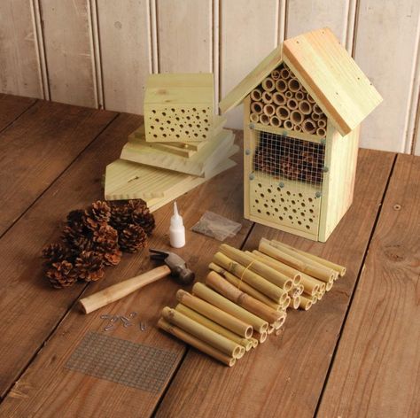 Carpenter Bee Trap, Bee Traps, Vertical Garden Plants, Fruit Diy, Bee Houses, Bee Hotel, Bug Hotel, Insect Hotel, Bee House