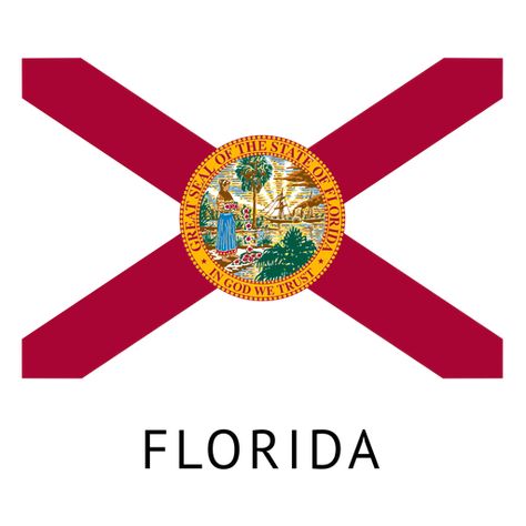 Florida state flag #AD , #ad, #spon, #flag, #state, #Florida State Project, Florida State Flag, Florida Flag, Bradenton Florida, Holidays Ideas, Flag Coloring Pages, Flag Painting, Mad Science, Flag Png