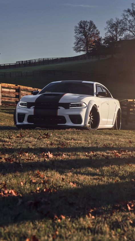 Charger Srt Hellcat Wallpaper, Dodge Charger Hellcat Wallpapers, Srt8 Charger, Hellcat Charger, Dodge Charger Srt Hellcat, Disney Cars Wallpaper, Dodge Charger Hellcat, Charger Srt Hellcat, Car Display