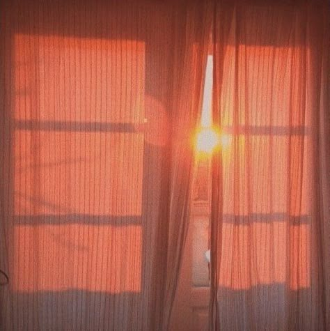 Sun Window, Coral Wallpaper, Peach Aesthetic, Rosé Aesthetic, Orange Aesthetic, Aesthetic Colors, Salmon Color, Aesthetic Themes, Aesthetic Images