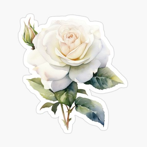 Flowers Aesthetic Stickers, Flower Stickers Aesthetic, White Roses Aesthetic, White Flower Sticker, Jean Rose, Pink Scrapbook, Rose Sticker, Rosé Summer, White Rose Flower