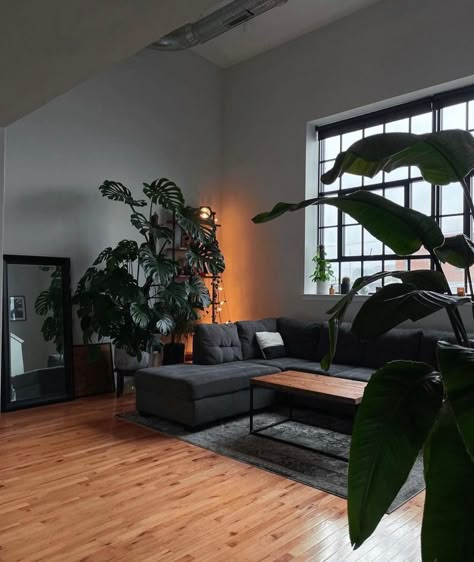 Man Appartment Ideas, Dark Apartment Aesthetic Bedroom, Minimalist Apartment With Plants, Monstera Living Room, Boy Apartment Aesthetic, Dark Minimalist Apartment, Male Interior Design, Edgy House, Guy Apartment