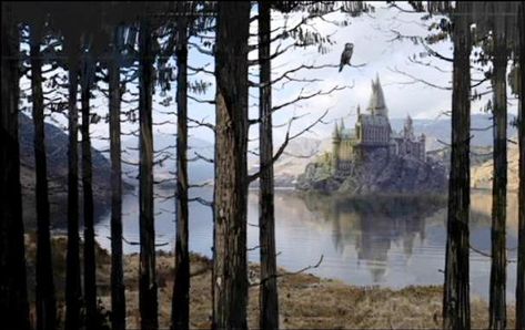 forbidden harry potter movie | Hogwarts castle - view from the Forest 01 (Concept Artwork) Harry Potter Life Quiz, Film Harry Potter, Forbidden Forest, Christmas Aesthetic Wallpaper, Hogwarts Castle, Hogwarts Aesthetic, Chamber Of Secrets, Albus Dumbledore, Harry Potter Wallpaper