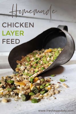 Homemade All Flock Feed, Diy Layer Feed, Diy Chicken Layer Feed Recipes, Homemade Chicken Feed Recipes, Chicken Layer Feed Recipe, Diy Chicken Layer Feed, Homemade Duck Feed, How To Make Your Own Chicken Feed, Homemade Chicken Feed For Layers