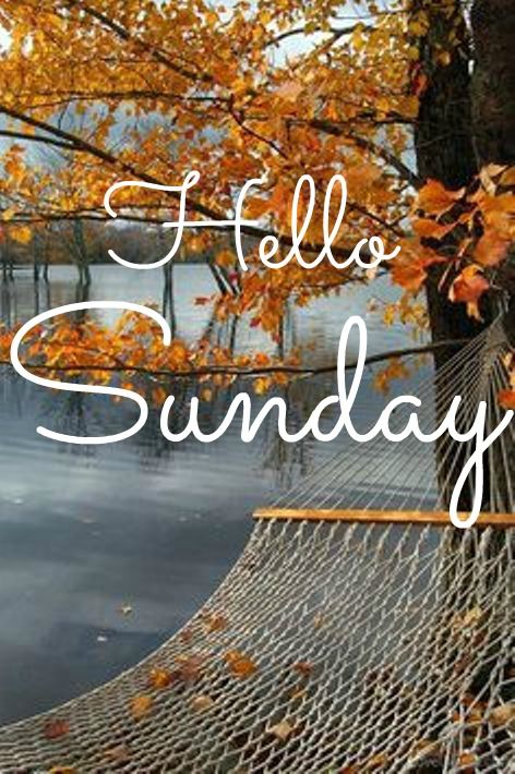 Happy Sunday coastal lovers ~ Happy Sunday Morning, Sunday Morning Quotes, Sunday Greetings, Sunday Images, Quotes Dream, Hello Sunday, Happy Weekend Quotes, Weekday Quotes, Have A Great Sunday