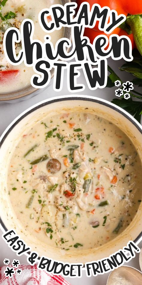 Simple Chicken Stew Recipes, Chicken Stew With Leftover Chicken, Flour Soup Recipe, Food And Wine Creamy Chicken Stew, Creamy Chicken Stew The Cozy Cook, Chicken Stew Recipe, Budget Bytes Chicken Stew, Easy Chicken Stew, Creamy Chicken Stew