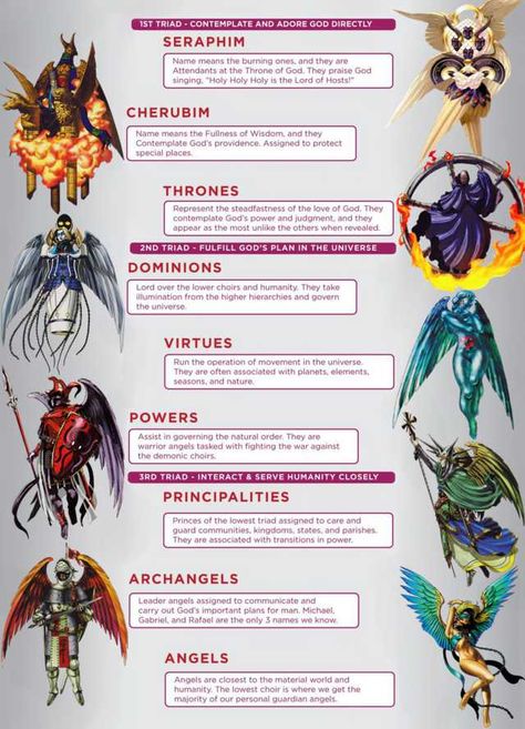 Hierarchy of Angels - Imgur Hierarchy Of Angels, Order Of Angels, 천사와 악마, Angel Hierarchy, World Mythology, Legends And Myths, 다크 판타지, Biblical Art, Mythological Creatures