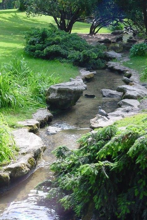 Garden Ponds Ideas, Ponds Ideas, Backyard Stream, Garden Stream, Kolam Koi, Garden Ponds, Landscaping Design Ideas, Garden Pond Design, Pond Landscaping