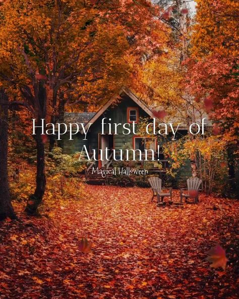 Happy First Day Of Autumn, Magical Halloween, First Day Of Autumn, Autumn Fall, First Day, One Day, In This Moment, Halloween