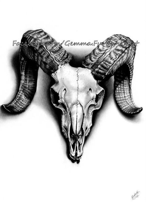 Ram skull rams head drawing tattoo idea Ram Skull Tattoo, Ram Skull, Animal Skull, Tattoo Meaning, Skull Tattoo, Ram, I Hope, Pencil, Tattoos