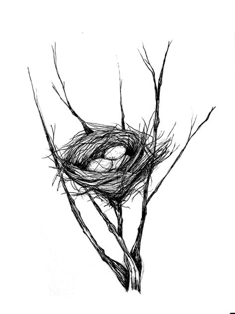 Bird Nests Art, Bird Nest Painting, 3d Butterfly Wall Art, Pencil Drawing Ideas, Nest Art, Pen Art Drawings, Tree Sketches, Art Drawings Sketches Pencil, Charcoal Art