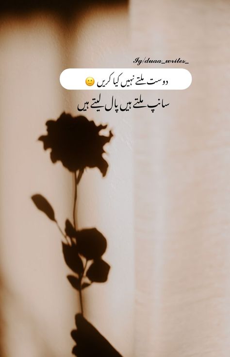 Bewafa Dost Poetry, Sharo Shari, Bewafa Dost Shayari In Urdu, Girlish Diary, Dp For Whatsapp Profile, Ghalib Poetry, Arishfa Khan, Love Quotes In Urdu, Urdu Funny Quotes