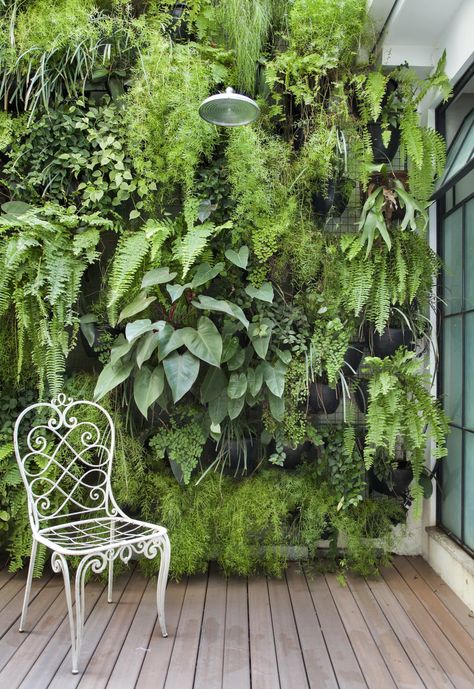 Outdoor Living Wall, Diy Garden Landscaping, Kolam Koi, Tanaman Indoor, Garden Wall Designs, Vertical Garden Design, Vertical Garden Wall, Desain Lanskap, Plants Growing