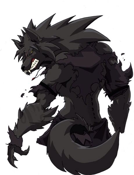 Dark (anime) Werewolf Drawing, Wolf Artwork, Werewolf Art, Creature Drawings, Anime Wolf, Mystical Creatures, Wolf Art, Creature Art, Fantasy Character Design