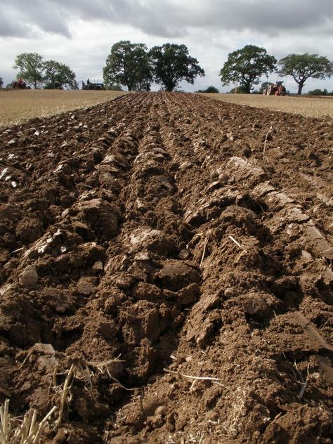 Earth Soil Aesthetic, Dirt Aesthetic, Agriculture Pictures, Farming Land, Dirt Texture, Agriculture Photography, Harvest Farm, Water Flood, Scientific Journal