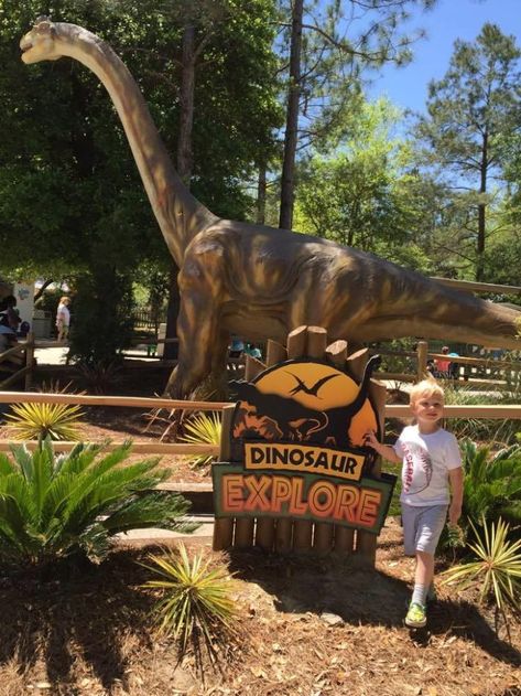 The Dinosaur Explore exhibit is currently open at Wild Adventures Theme Park. Wild Adventures Theme Park, Dinosaur Theme Park, Wild Park, Dinosaur Park, Childhood Dream, Adventure Theme, Wild Adventures, Prehistoric Creatures, A Dinosaur