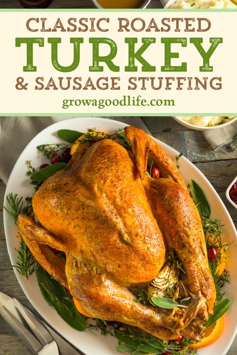 Whether you are cooking for a crowd or a small family gathering, this simple roasted turkey with Italian sausage stuffing recipe is a delicious way to cook the perfect bird for your holiday meal. Visit to learn how to roast a turkey with this easy recipe, plus tips to organize the big day. Citrus Herb Roasted Turkey, Turkey And Green Beans, Cooking The Perfect Turkey, Perfect Roast Turkey, Sausage Stuffing Recipe, Cooking Thanksgiving Dinner, Herb Roasted Turkey, Juicy Turkey, Roast Turkey Recipes