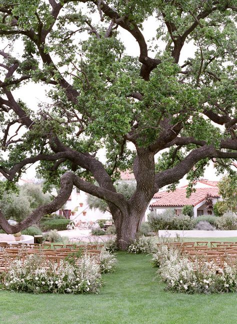 Tree Wedding Ceremony, Ojai Valley Inn And Spa, Oak Tree Wedding, Aisle Flowers, Theme Nature, Wishing Tree, Tent Reception, Salou, Tree Wedding