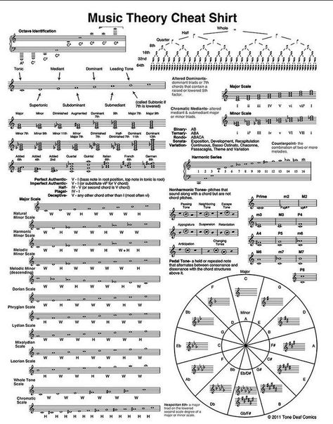 Solfege Worksheets, Music Basics, Music Theory Piano, Learn Music Theory, Music Theory Lessons, Music Theory Worksheets, Piano Music Lessons, Music Theory Guitar, Not Musik