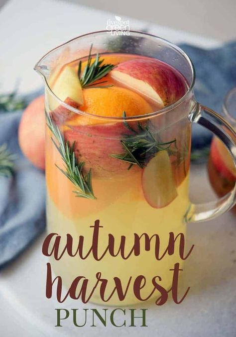 Autumn Harvest Punch Recipe (Mocktail) via @fivespotgrnvlvng #mocktail #drinks #drinkrecipe #autumn #fall Mocktail Thanksgiving, Autumn Harvest Punch, Fruit Thanksgiving, Harvest Punch, Punch Mocktail, Fall Punch Recipes, Thanksgiving Punch, Fresh Fruit Recipes, Punch Recipe