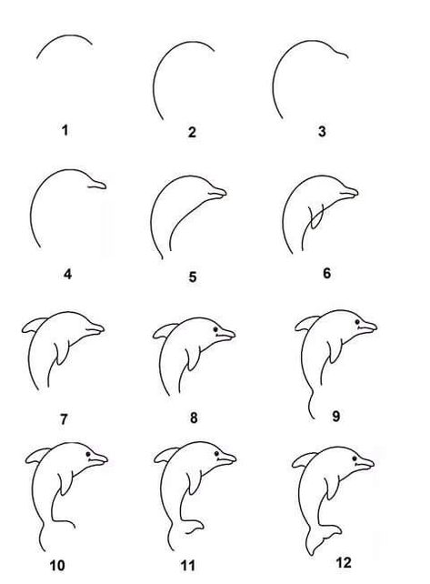 Easy how to draw a dolphin! Best Chalk Markers set http://www.amazon.com/dp/B0187DKT6Q Draw A Dolphin, Small Easy Drawings, Dolphin Drawing, Dolphin Painting, Simple Flower Drawing, Pola Tato, Dolphin Art, Easy Drawing Steps, Easy Drawings For Beginners