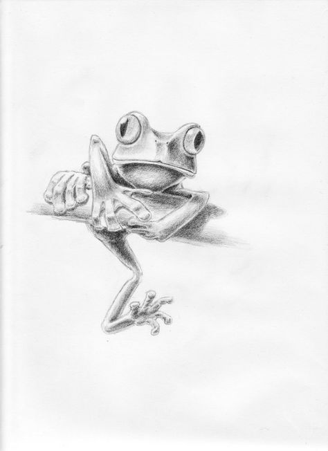 Tree frog sketch Drawings Of Frogs, Simple Pencil Drawings, Red Eyed Frog, Tree Frog Tattoos, Frog Sketch, Whites Tree Frog, Frog Tattoo, Red Eyed Tree Frog, Frog Tattoos