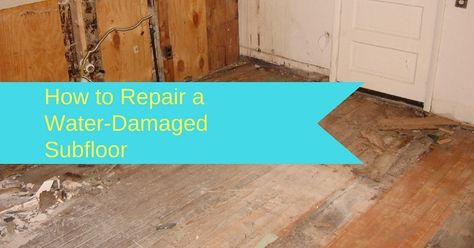 Plaster Ceiling Repair, Subfloor Repair, Water Damaged Ceiling, Repair Ceilings, Wood Floor Repair, Plywood Subfloor, Wood Floor Bathroom, Shed Floor, Water Damage Repair