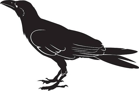 8,695 Crow Vector and Icons - iStock - iStock Crow Line Art, Crow Vector, Crow Silhouette, Carved Stamps, Horse Sketch, Raven Bird, Crow Tattoo, Bird Sketch, Hand Carved Stamps