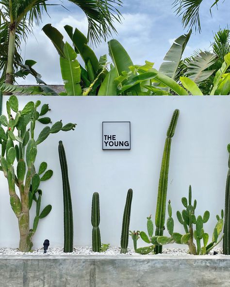 Florida Courtyard Ideas, Tulum Backyard Ideas, Bali Landscape Design, Cactus Garden Design, Tropical Minimalist, Modern Villas, Real Estate Guide, Canggu Bali, Dry Garden