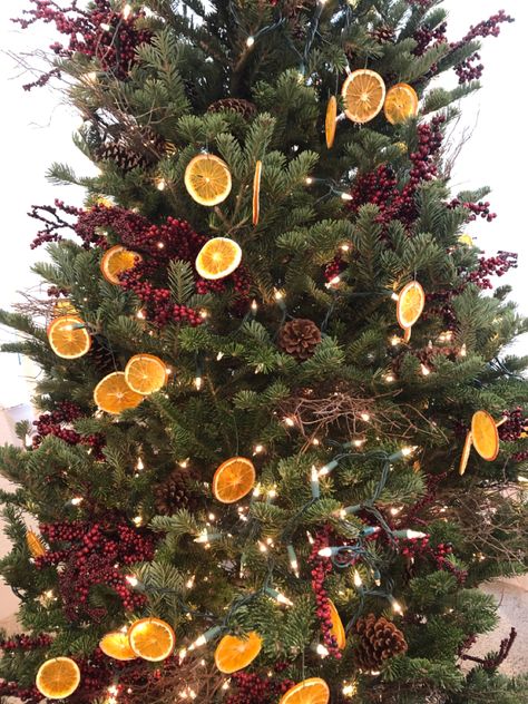 Orange Peel Christmas Tree, Cranberry Orange Christmas Tree, Dehydrated Orange Christmas Tree, Orange And Cranberry Christmas Tree, Christmas Tree Fruit Decorations, Cranberry Christmas Tree Decorations, Dehydrated Oranges Christmas Tree, Fruit Themed Christmas Tree, Christmas Tree With Oranges