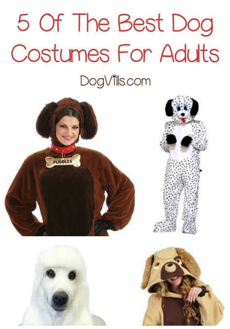 Looking for a costume that is cute, cuddly and makes me want to wag you tail? See our best dog costumes for adults perfect for Halloween or events. Dog Costumes For Adults, Best Dog Costumes, Dog Costumes Funny, Costumes For Adults, Diy Dog Costumes, Homemade Costumes, About Dogs, Group Halloween Costumes, Chihuahua Dog