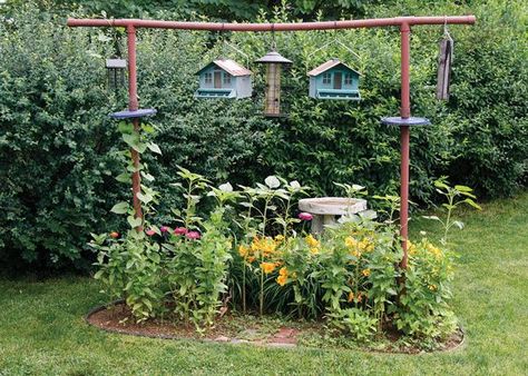 Bird Feeder Station, Bird Cage Design, Backyard Birds Feeders, Chicken Shed, Large Bird Cages, Garden Journal, Decks Backyard, Backyard Birds, Climbing Plants