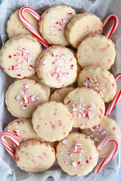 Peppermint Shortbread Cookies Christmas Cookies Recipes Chocolate Peppermint, Candy Cane Butter Cookies, Candy Cane Whipped Shortbread, Christmas Cookies With Peppermint, Chocolate Peppermint Sandwich Cookies, Peppermint Holiday Treats, Peppermint Marshmallow Cookies, Imperial Cookies Recipes, Mini Cookies Christmas