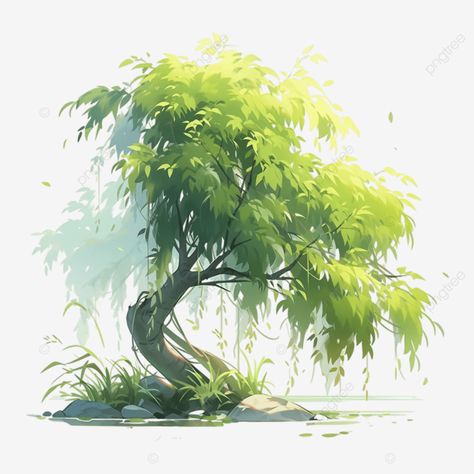 willow tree spring illustration willow spring green png Vector Tree Illustration, Willow Tree Illustration, Willow Illustration, Willow Tree Drawing, Green Png, Green Illustration, Weeping Willow Tree, Spring Illustration, Vector Trees